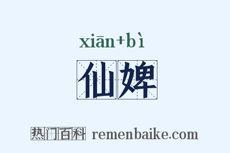 仙婢是什么意思的图片